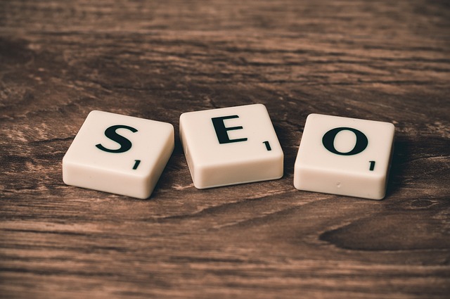 1756522448739096.jpg seo-758264_640.jpg