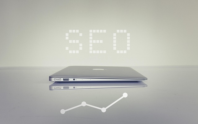 1765511570373107.jpg seo-6183542_640.jpg